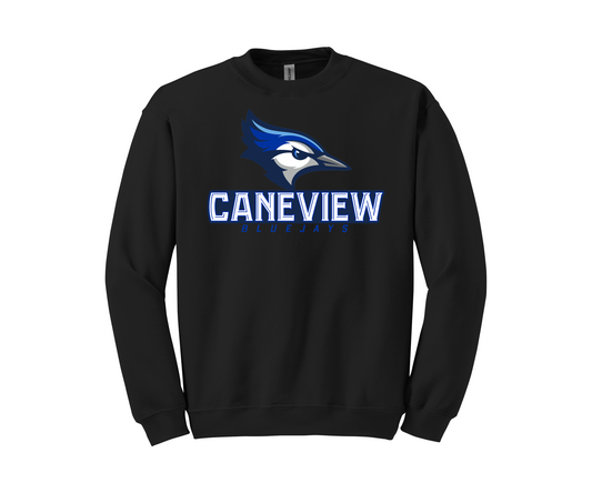 Caneview Blue Jays Logo Sweatshirt